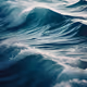 Sea Universal