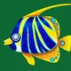 SeaFish #001