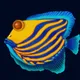 SeaFish #002