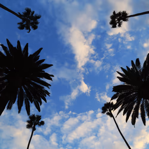 Landscape Photography Collection - old