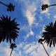 Landscape Photography Collection - old