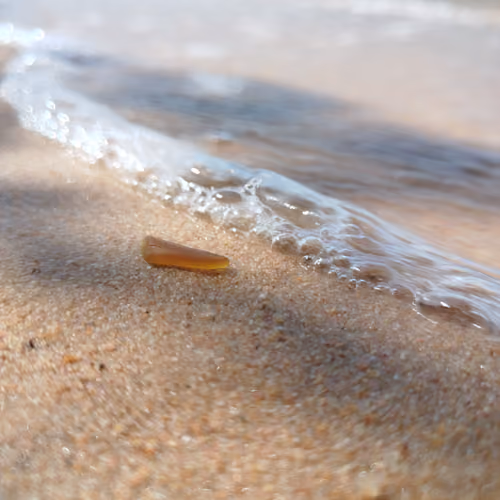 SEAHOOD