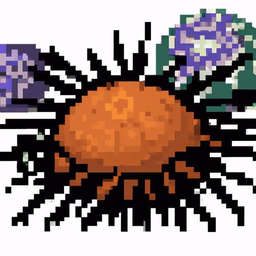 SeAi Urchins - old V2