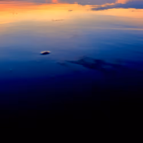 Sealevel
