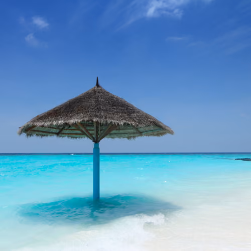 Sea Paradise Collections