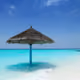 Sea Paradise Collections