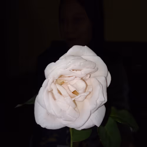 Searching for Identity