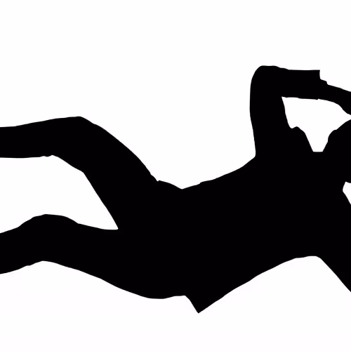 Searching for Robert Longo - old