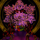 Season of Flowers