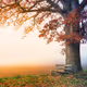 Seasons and Elements