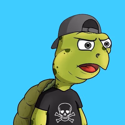 Secret Turtle Society
