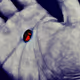 Secret Pill - old