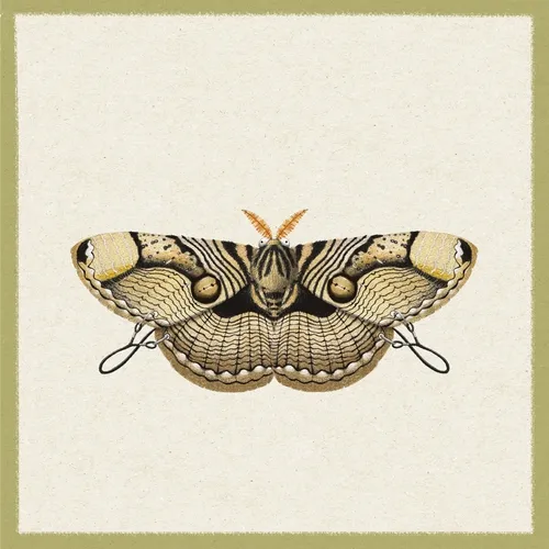 SEED Design