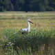 Selbstgemachte Naturbilder