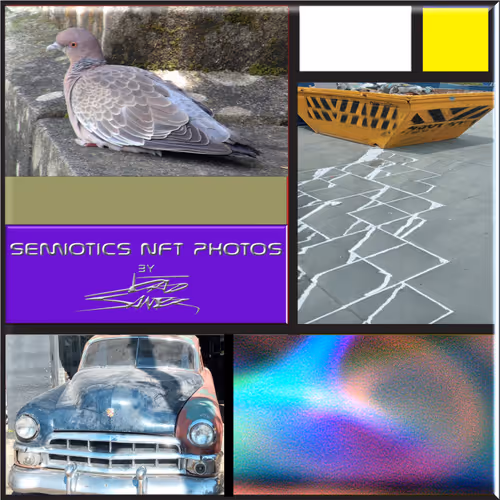 SEMIOTICS PHOTOS NFT