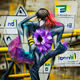 Sense Flowers
