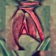 Sentuality & Sexuality