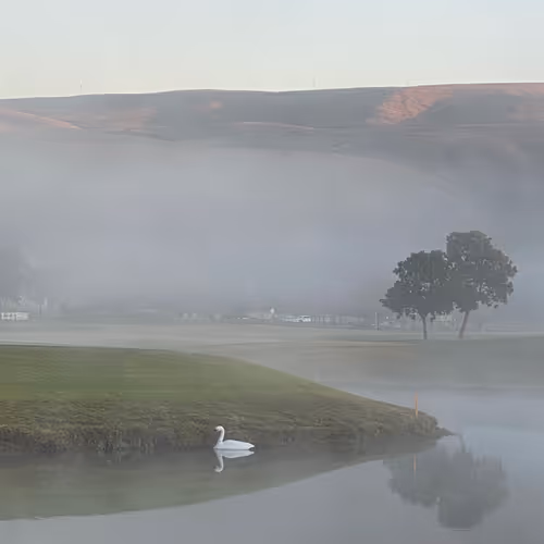 SereneHope Photo Collection - old