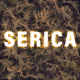 Serica