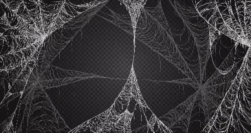 Set Cobweb Generated