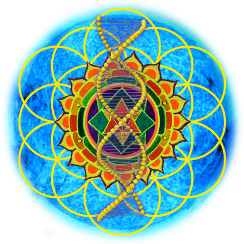 SETHIX-QR GRiDS by Iain Ball