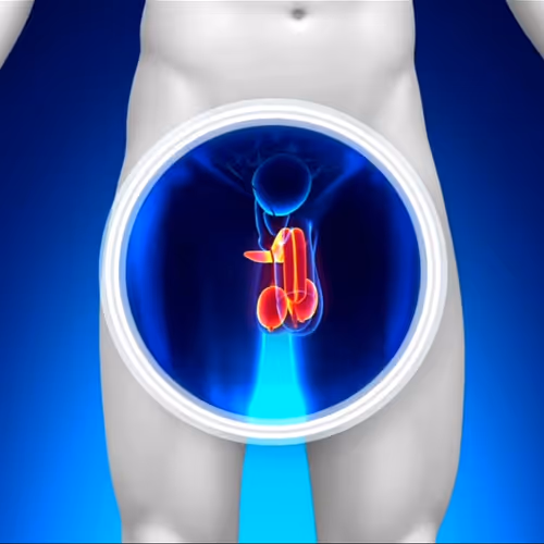 Sex NFT 3D MP4 HD ART AI Explicit & sensitive content