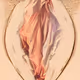 sexefeminin - old