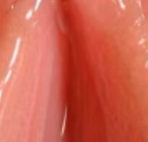 Sensual Symmetry