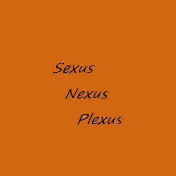 Sexus Nexus Plexus by FidelFineArt