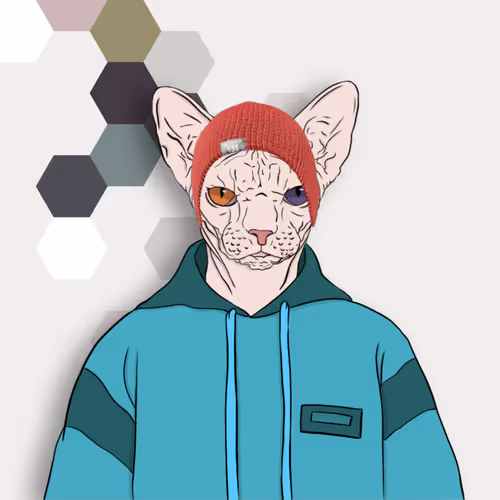 sfenks cat coll nft
