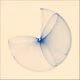 Shades of Fibonacci