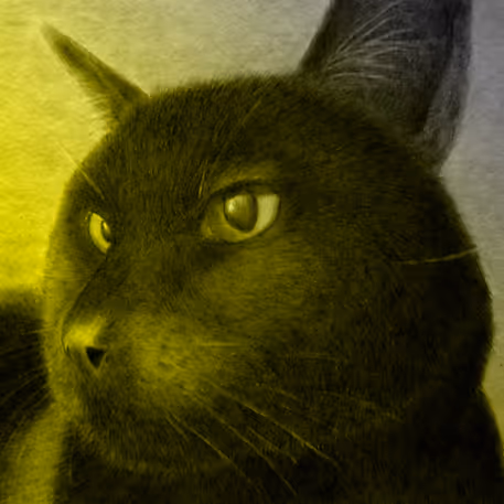 Shades of Old House Panther - old