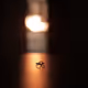 Shadow of Love