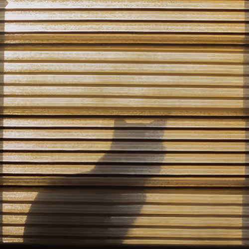 Shadow NFT Collection