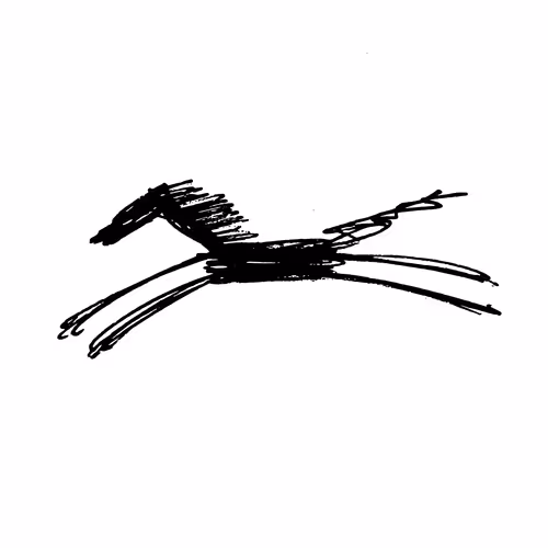 Shadow Racer Collection