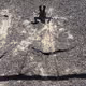 Shadows by the Bay