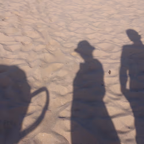 Shadows - ZSJQlDXZQ2