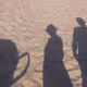 Shadows - ZSJQlDXZQ2