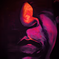 Item Media Placeholder