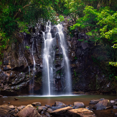 landscapes, nature and more