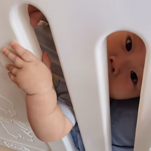 Shaomai Boy's Growing Time