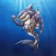 Sharks_22