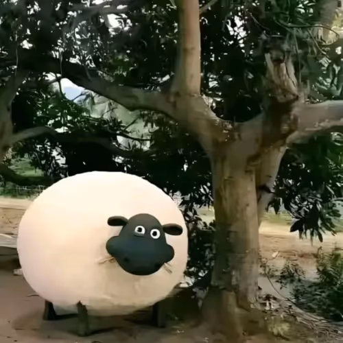 Shaun