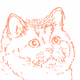 Power of Cat - old