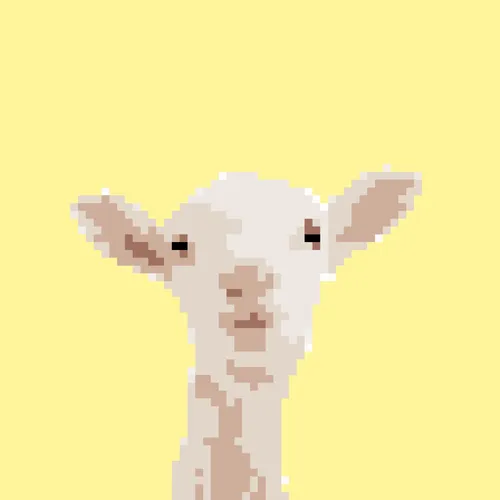 sheepcrypto