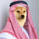 Sheik Mogul Doge