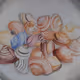 Shell arts