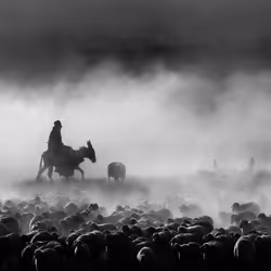 #110723820716539984146258339559246645174065377375861674701181586446242568732673