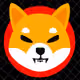 shib 91eb