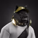 Shiba #2606